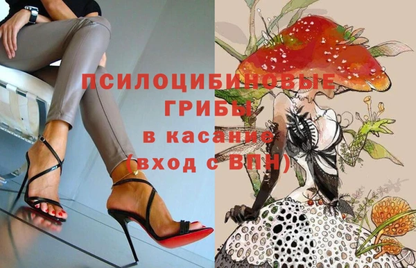 гашик Осташков